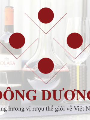 Nơi nhập dữ liệu